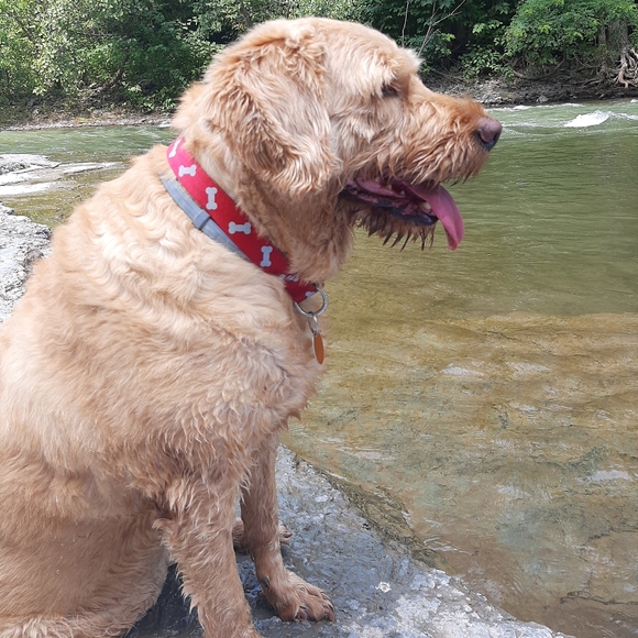 Meet your Posher, Marlena - Picture 7 of 10